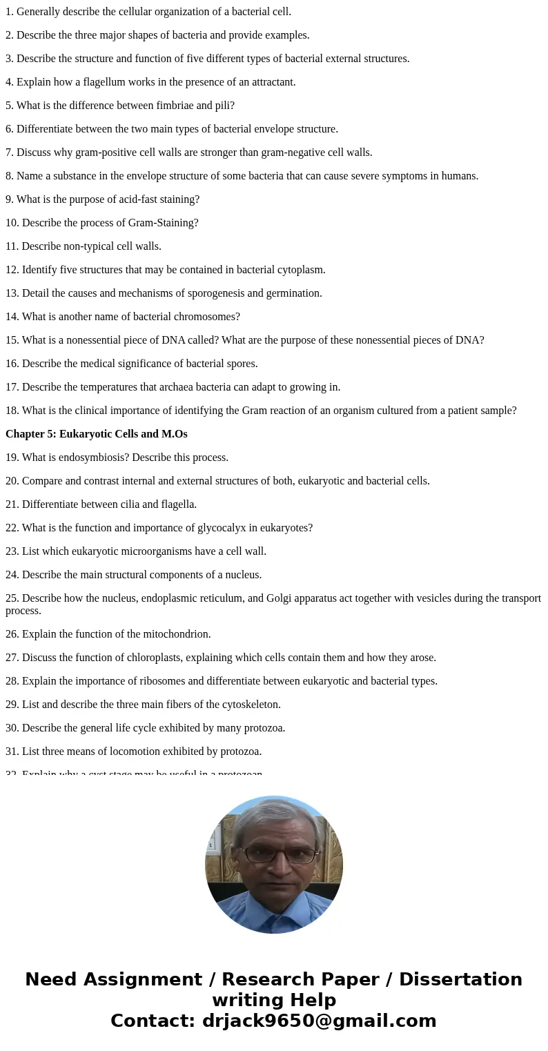 1. Generally describe the cellular organization of a bacterial cell. 2. Describe the three major shapes of bacteria and provide examples. 3. Describe the struct 1. Generally describe the cellular organization of a bacterial cell. 2. Describe the three major shapes of bacteria and provide examples. 3. Describe the struct