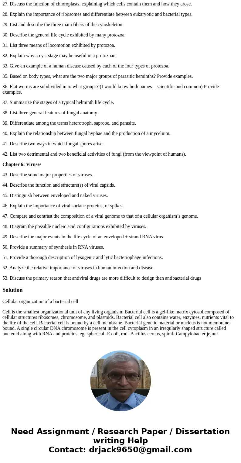 1. Generally describe the cellular organization of a bacterial cell. 2. Describe the three major shapes of bacteria and provide examples. 3. Describe the struct 1. Generally describe the cellular organization of a bacterial cell. 2. Describe the three major shapes of bacteria and provide examples. 3. Describe the struct