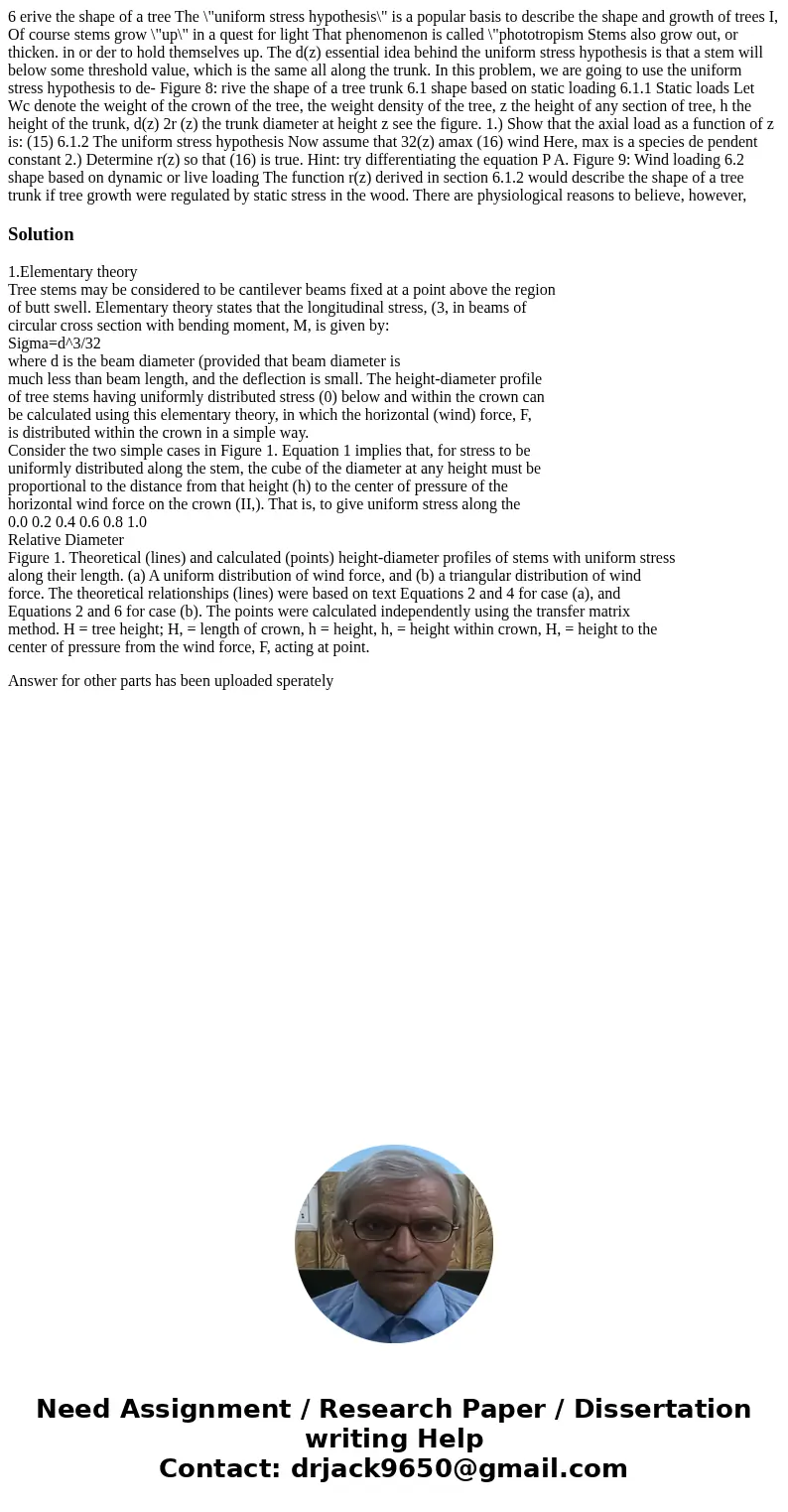 6 erive the shape of a tree The \  6 erive the shape of a tree The \