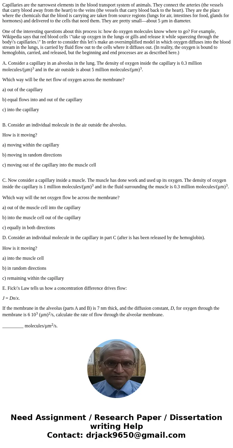 Capillaries are the narrowest elements in the blood transport system of animals. They connect the arteries (the vessels that carry blood away from the heart) to