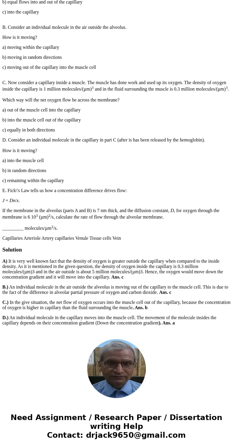 Capillaries are the narrowest elements in the blood transport system of animals. They connect the arteries (the vessels that carry blood away from the heart) to