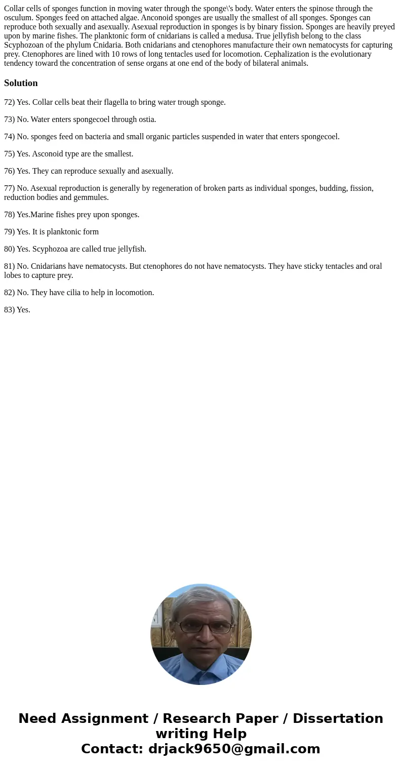 Collar cells of sponges function in moving water through the sponge\'s body. Water enters the spinose through the osculum. Sponges feed on attached algae. Anco  Collar cells of sponges function in moving water through the sponge\'s body. Water enters the spinose through the osculum. Sponges feed on attached algae. Anco