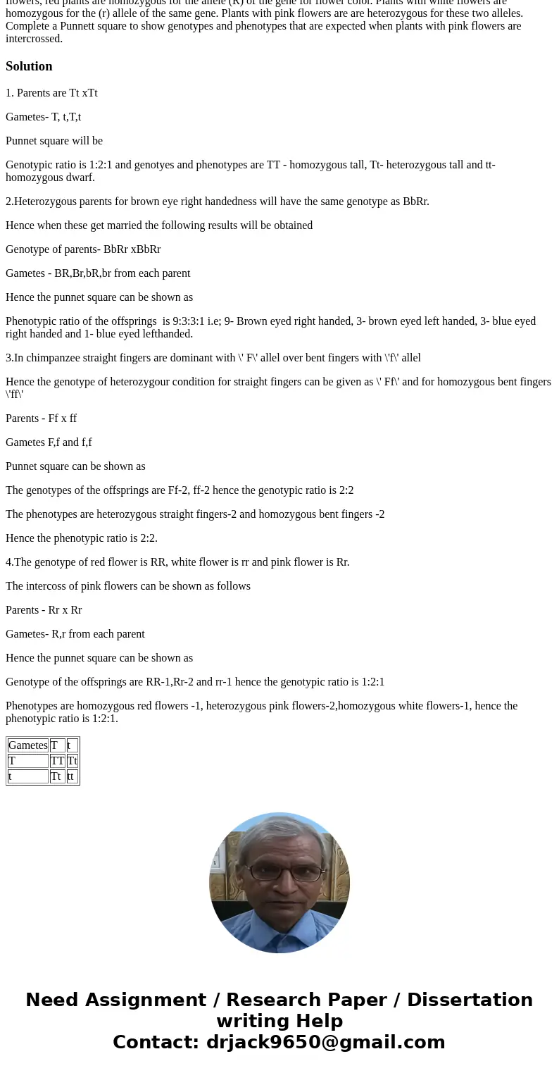  Complete a Punnett square to show the genotypes and phenotypes expected for the following cross: heterozygous tall x heterozygous tall In humans, the gene for 