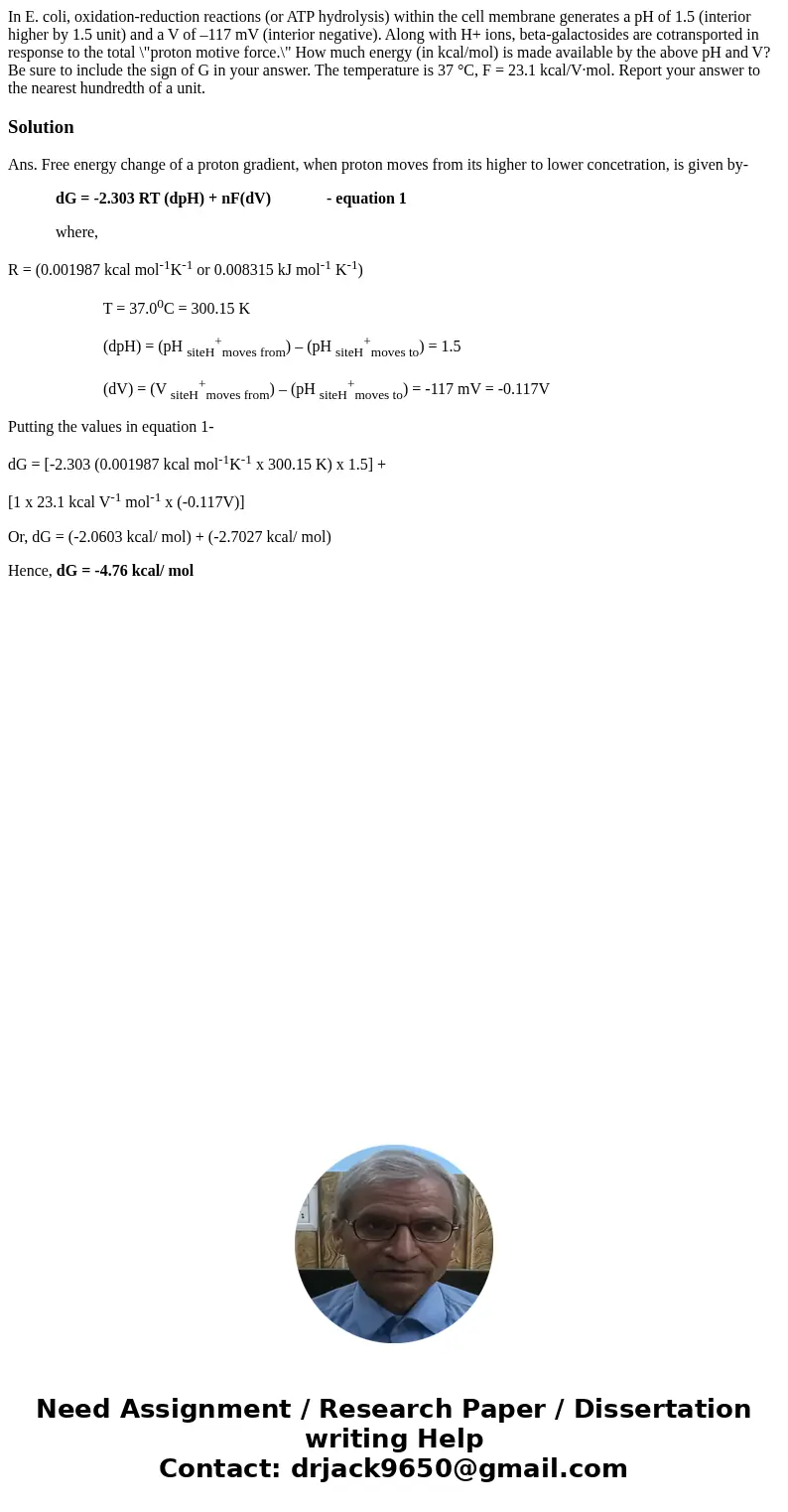 In E. coli, oxidation-reduction reactions (or ATP hydrolysis) within the cell membrane generates a pH of 1.5 (interior higher by 1.5 unit) and a V of –117 mV (i In E. coli, oxidation-reduction reactions (or ATP hydrolysis) within the cell membrane generates a pH of 1.5 (interior higher by 1.5 unit) and a V of –117 mV (i