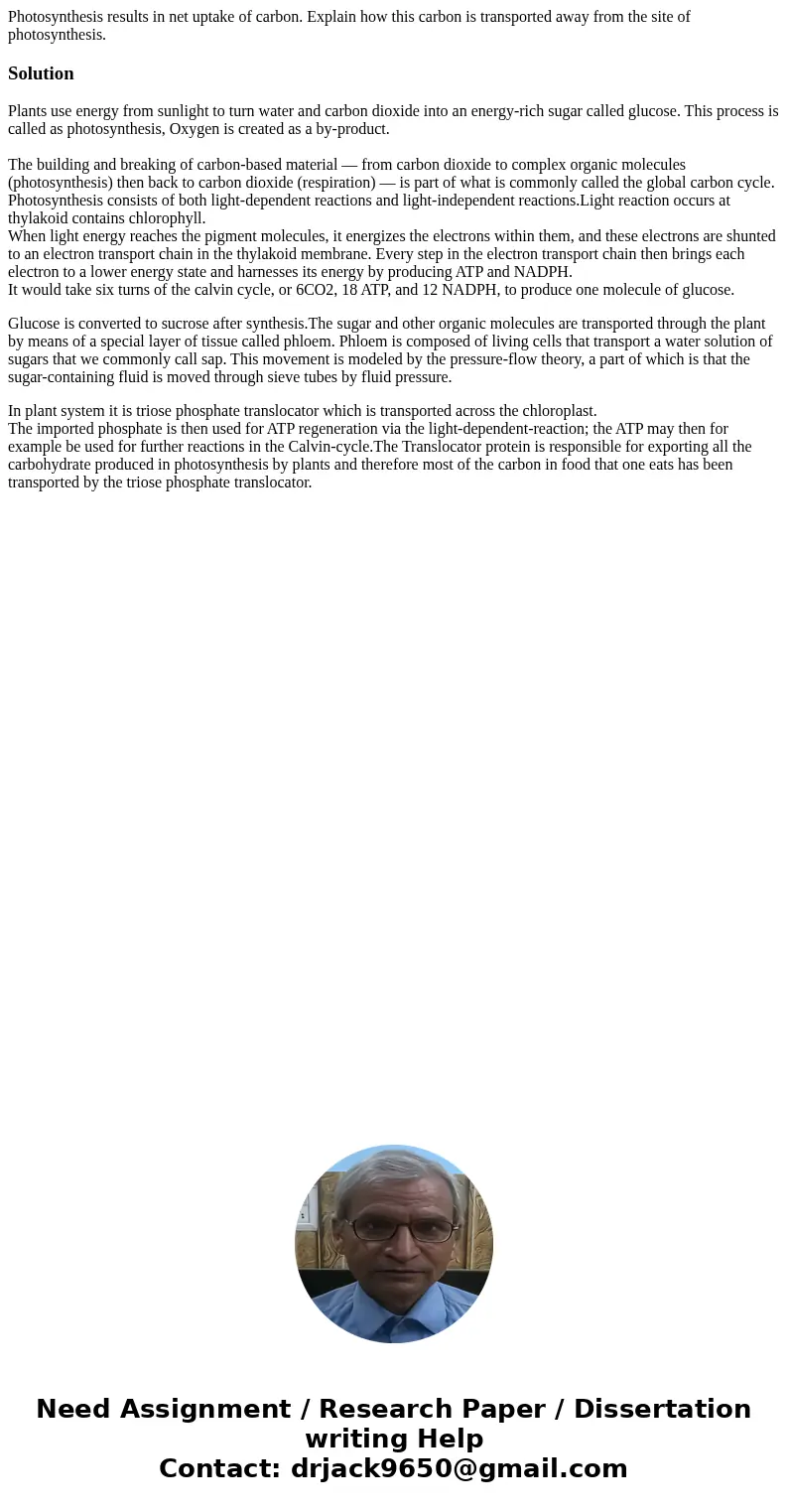 Photosynthesis results in net uptake of carbon. Explain how this carbon is transported away from the site of photosynthesis.SolutionPlants use energy from sunli Photosynthesis results in net uptake of carbon. Explain how this carbon is transported away from the site of photosynthesis.SolutionPlants use energy from sunli