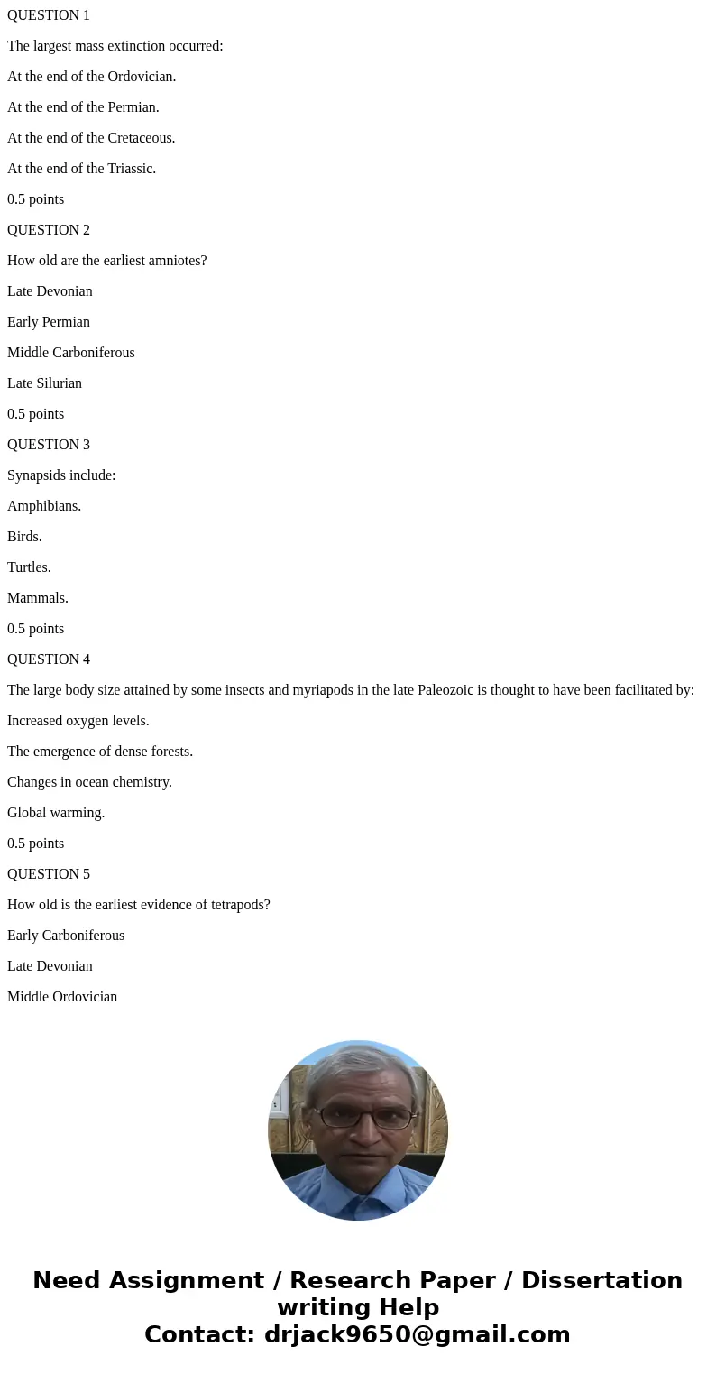 QUESTION 1 The largest mass extinction occurred: At the end of the Ordovician. At the end of the Permian. At the end of the Cretaceous. At the end of the Triass QUESTION 1 The largest mass extinction occurred: At the end of the Ordovician. At the end of the Permian. At the end of the Cretaceous. At the end of the Triass