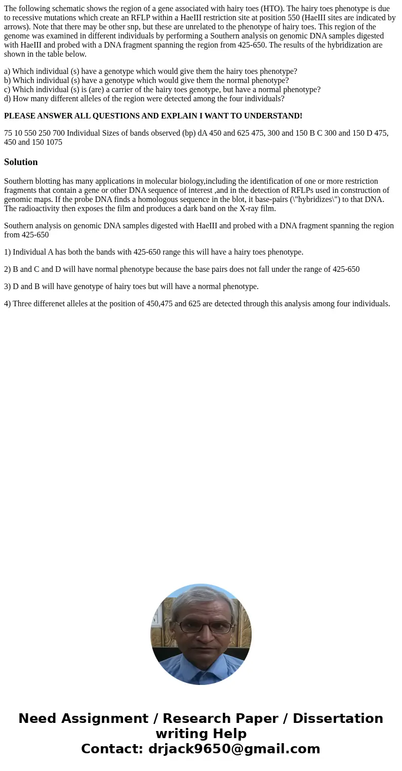 The following schematic shows the region of a gene associated with hairy toes (HTO). The hairy toes phenotype is due to recessive mutations which create an RFLP The following schematic shows the region of a gene associated with hairy toes (HTO). The hairy toes phenotype is due to recessive mutations which create an RFLP