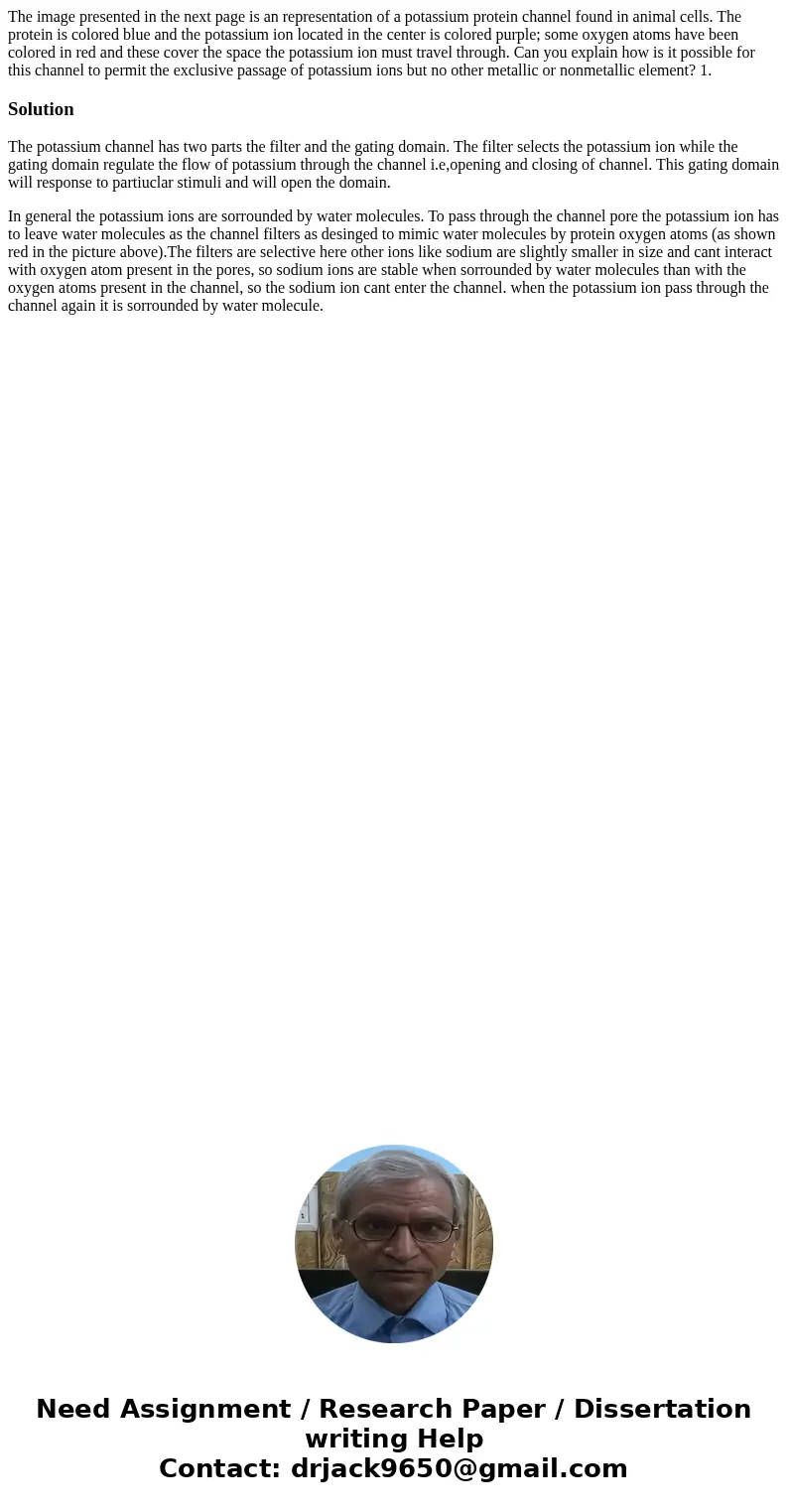 The image presented in the next page is an representation of a potassium protein channel found in animal cells. The protein is colored blue and the potassium i  The image presented in the next page is an representation of a potassium protein channel found in animal cells. The protein is colored blue and the potassium i