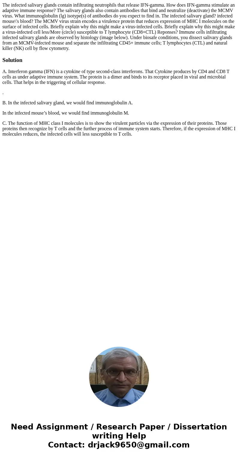  The infected salivary glands contain infiltrating neutrophils that release IFN-gamma. How does IFN-gamma stimulate an adaptive immune response? The salivary gl