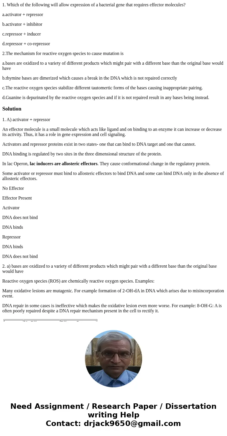 1. Which of the following will allow expression of a bacterial gene that requires effector molecules? a.activator + repressor b.activator + inhibitor c.represso 1. Which of the following will allow expression of a bacterial gene that requires effector molecules? a.activator + repressor b.activator + inhibitor c.represso