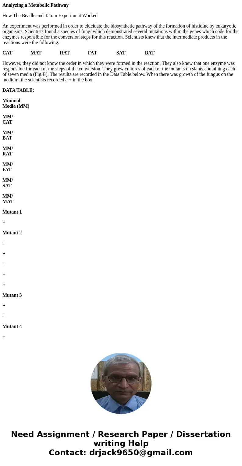 Analyzing a Metabolic Pathway How The Beadle and Tatum Experiment Worked An experiment was performed in order to elucidate the biosynthetic pathway of the forma