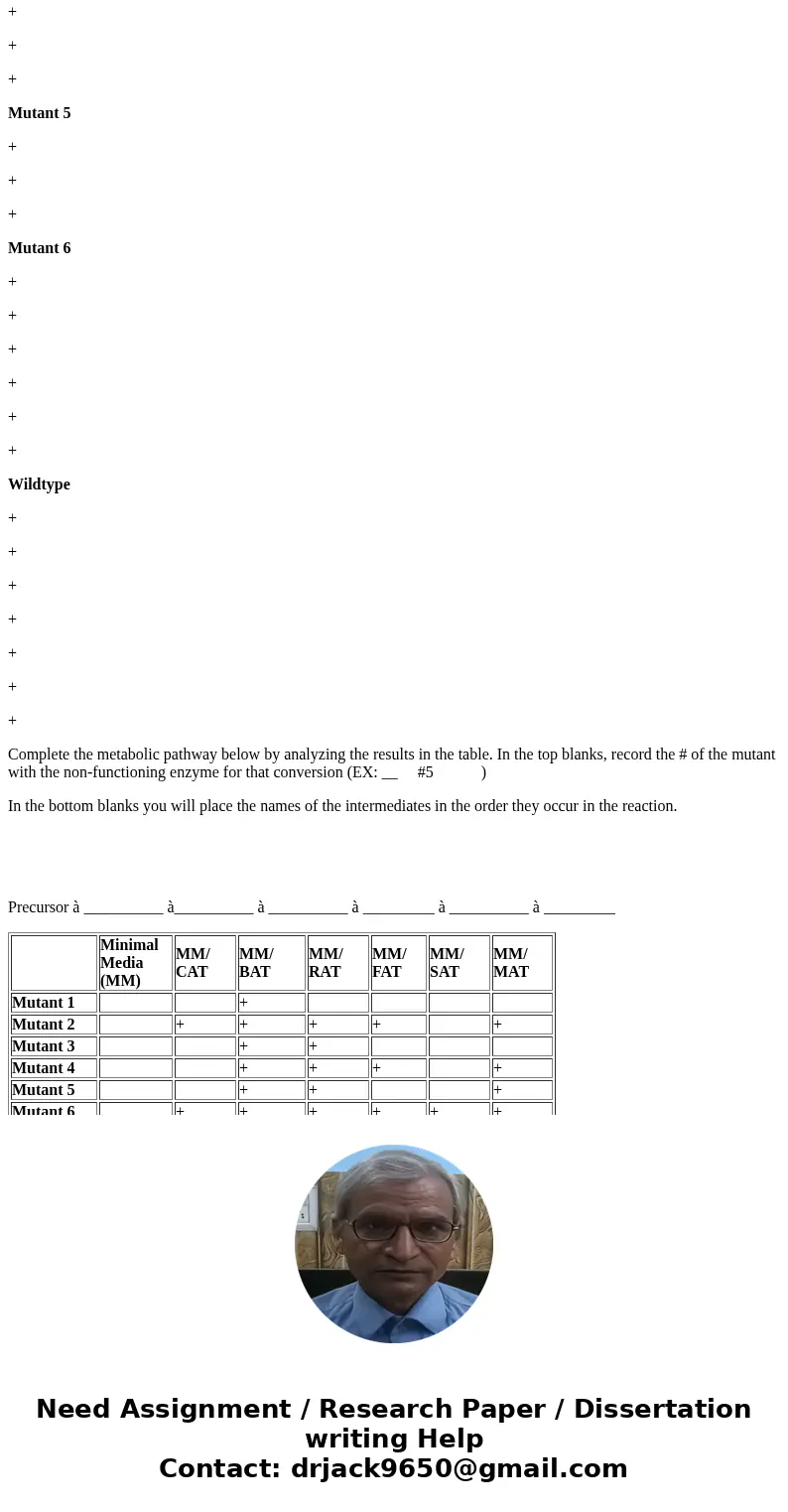Analyzing a Metabolic Pathway How The Beadle and Tatum Experiment Worked An experiment was performed in order to elucidate the biosynthetic pathway of the forma