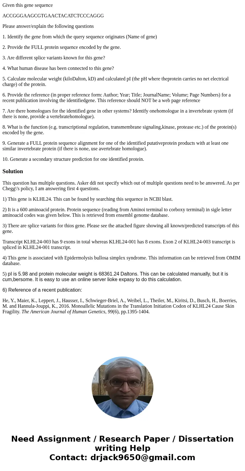 Given this gene sequence ACCGGGAAGCGTGAACTACATCTCCCAGGG Please answer/explain the following questions 1. Identify the gene from which the query sequence origina Given this gene sequence ACCGGGAAGCGTGAACTACATCTCCCAGGG Please answer/explain the following questions 1. Identify the gene from which the query sequence origina