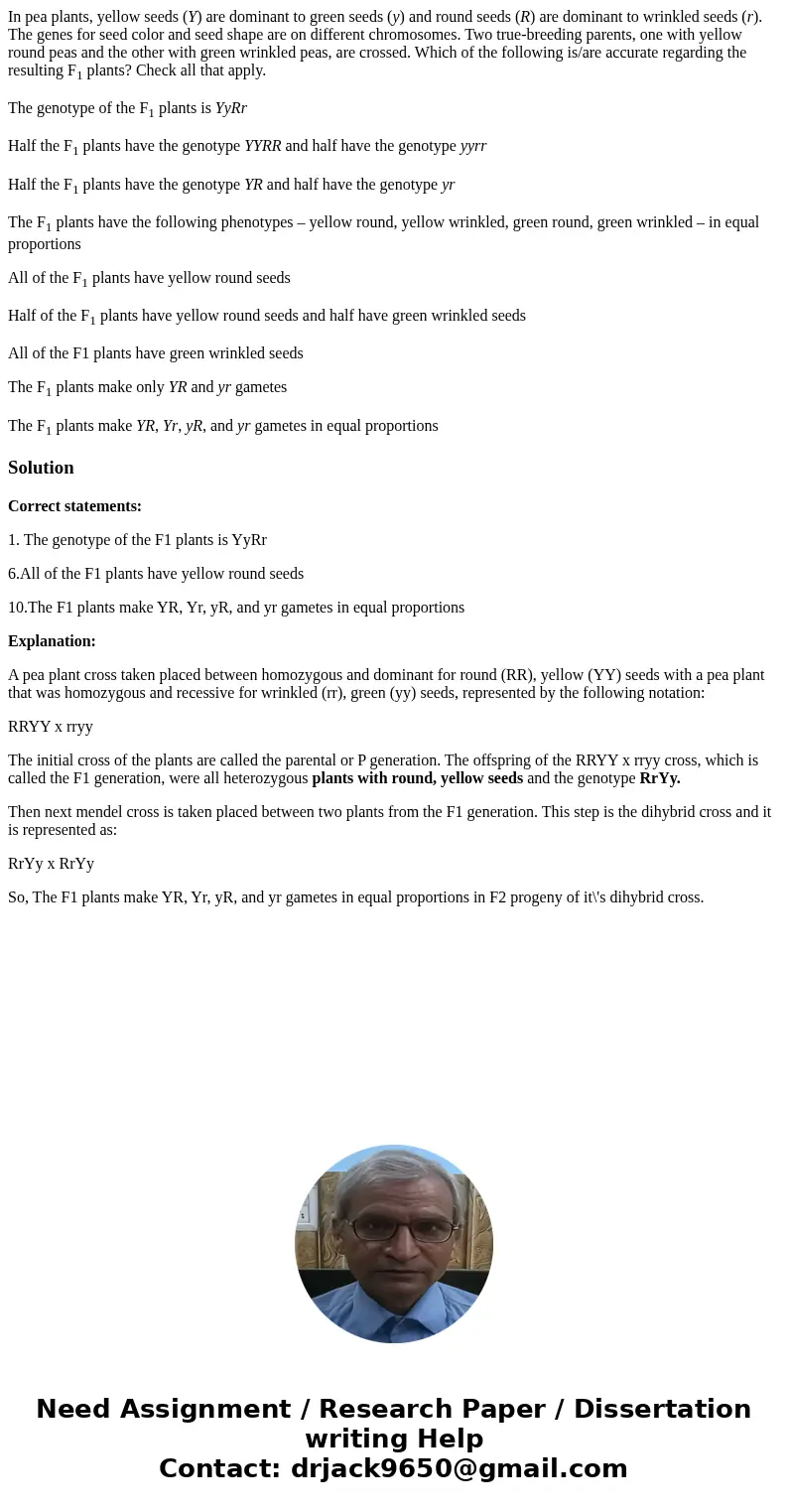 In pea plants, yellow seeds (Y) are dominant to green seeds (y) and round seeds (R) are dominant to wrinkled seeds (r). The genes for seed color and seed shape  In pea plants, yellow seeds (Y) are dominant to green seeds (y) and round seeds (R) are dominant to wrinkled seeds (r). The genes for seed color and seed shape
