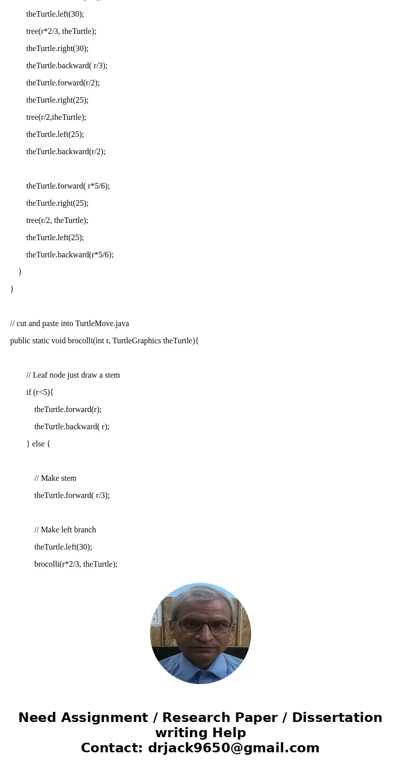 Please follow all instructions and answer the question as well. This is incorporating EZ java so don\'t need to add anything it doesn\'t ask for. Turtle Example Please follow all instructions and answer the question as well. This is incorporating EZ java so don\'t need to add anything it doesn\'t ask for. Turtle Example