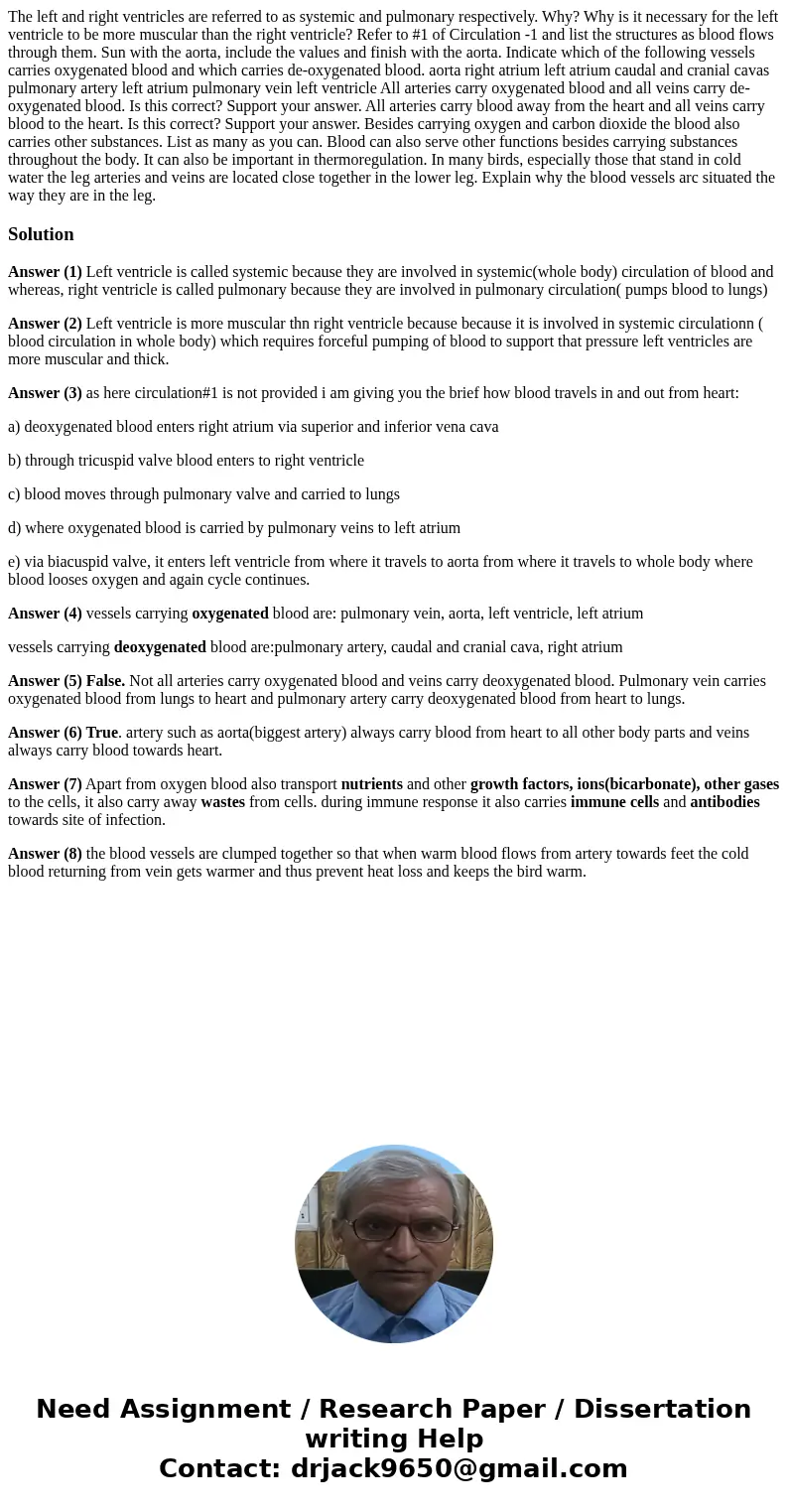  The left and right ventricles are referred to as systemic and pulmonary respectively. Why? Why is it necessary for the left ventricle to be more muscular than 