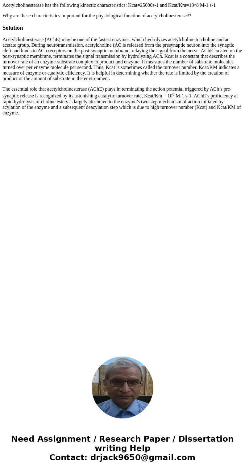Acetylcholinesterase has the following kinectic characteristics: Kcat=25000s-1 and Kcat/Km=10^8 M-1 s-1 Why are these characteristics important for the physiolo