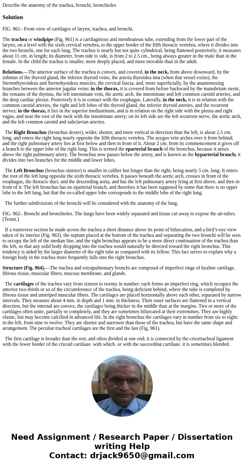 Describe the anatomy of the trachea, bronchi, bronchiolesSolutionFIG. 961– Front view of cartilages of larynx, trachea, and bronchi. The trachea or windpipe (Fi