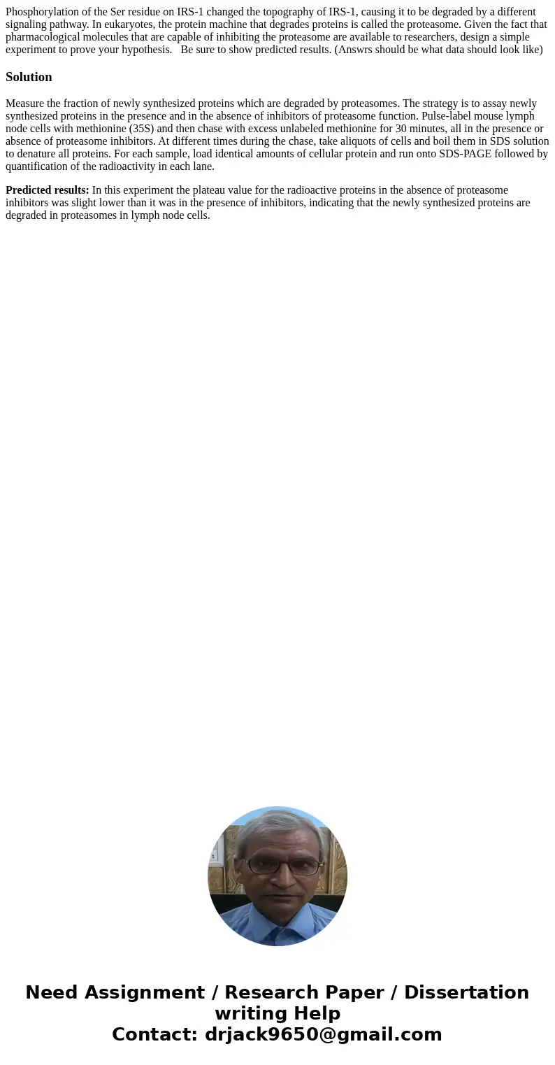 Phosphorylation of the Ser residue on IRS-1 changed the topography of IRS-1, causing it to be degraded by a different signaling pathway. In eukaryotes, the prot
