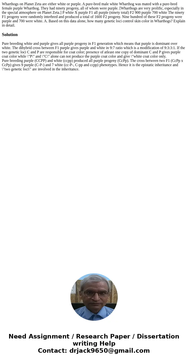 Wharthogs on Planet Zeta are either white or purple. A pure-bred male white Wharthog was mated with a pure-bred female purple Wharthog. They had ninety progeny, Wharthogs on Planet Zeta are either white or purple. A pure-bred male white Wharthog was mated with a pure-bred female purple Wharthog. They had ninety progeny,