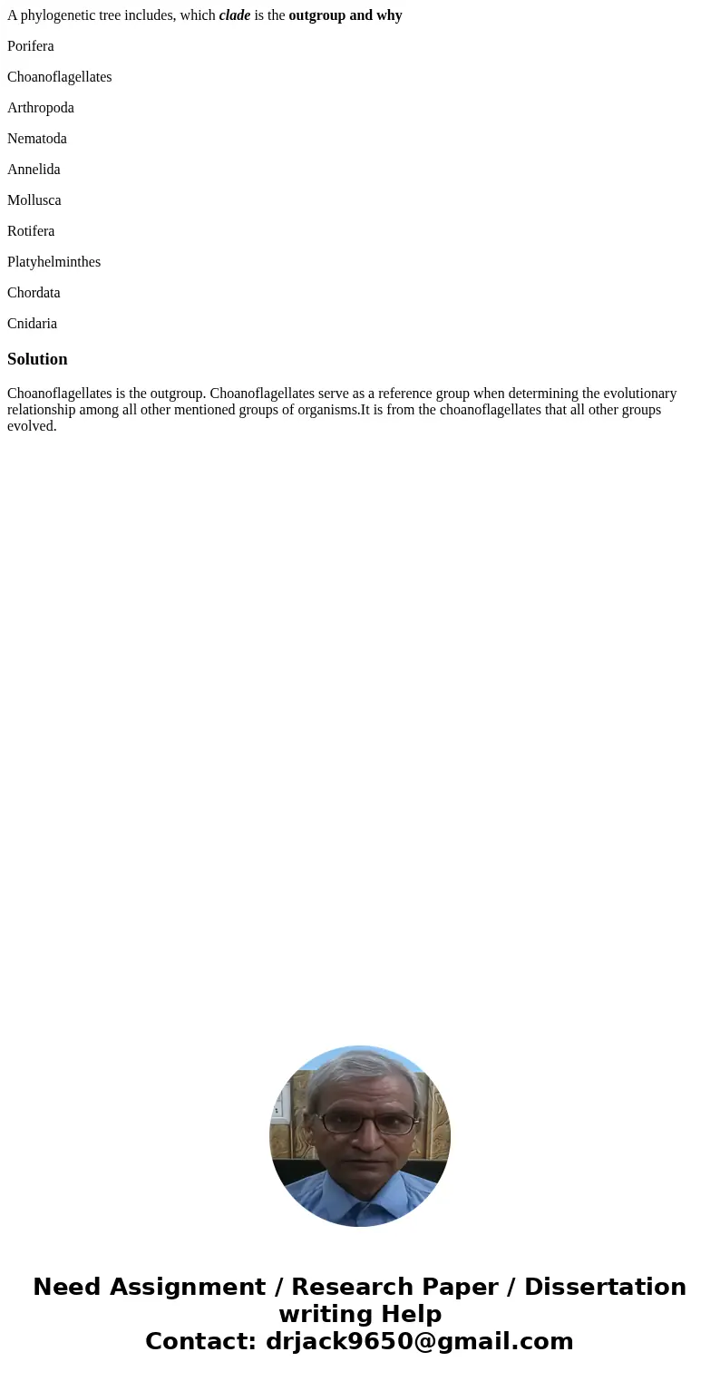 A phylogenetic tree includes, which clade is the outgroup and why Porifera Choanoflagellates Arthropoda Nematoda Annelida Mollusca Rotifera Platyhelminthes Chor A phylogenetic tree includes, which clade is the outgroup and why Porifera Choanoflagellates Arthropoda Nematoda Annelida Mollusca Rotifera Platyhelminthes Chor