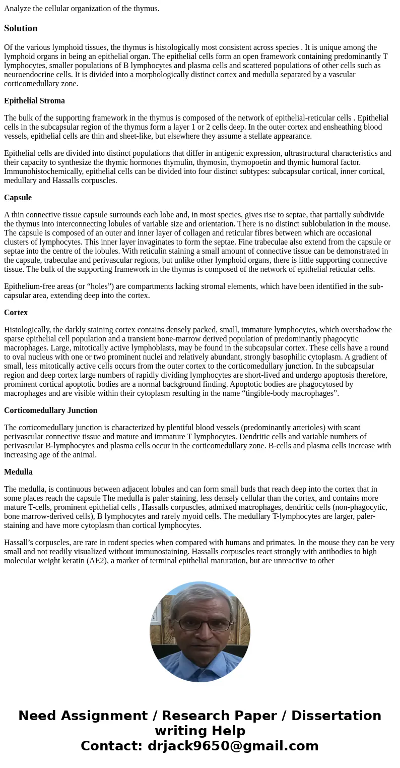 Analyze the cellular organization of the thymus.SolutionOf the various lymphoid tissues, the thymus is histologically most consistent across species . It is uni Analyze the cellular organization of the thymus.SolutionOf the various lymphoid tissues, the thymus is histologically most consistent across species . It is uni