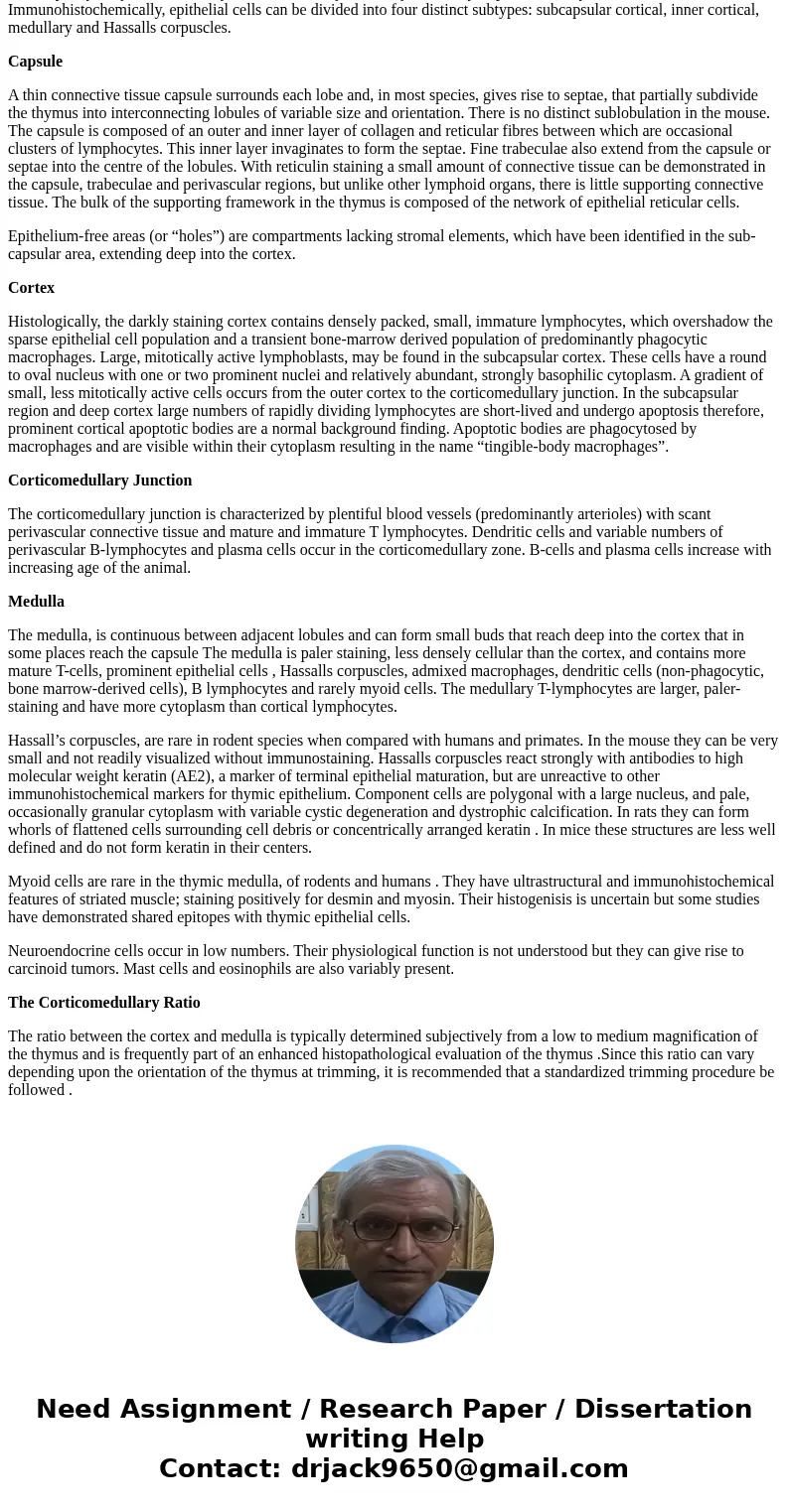 Analyze the cellular organization of the thymus.SolutionOf the various lymphoid tissues, the thymus is histologically most consistent across species . It is uni Analyze the cellular organization of the thymus.SolutionOf the various lymphoid tissues, the thymus is histologically most consistent across species . It is uni