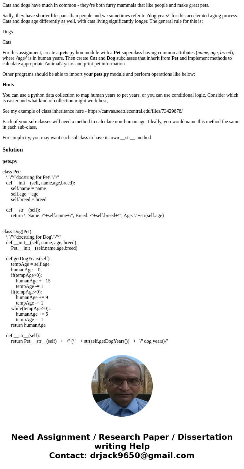 Cats and dogs have much in common - they\'re both furry mammals that like people and make great pets. Sadly, they have shorter lifespans than people and we some Cats and dogs have much in common - they\'re both furry mammals that like people and make great pets. Sadly, they have shorter lifespans than people and we some