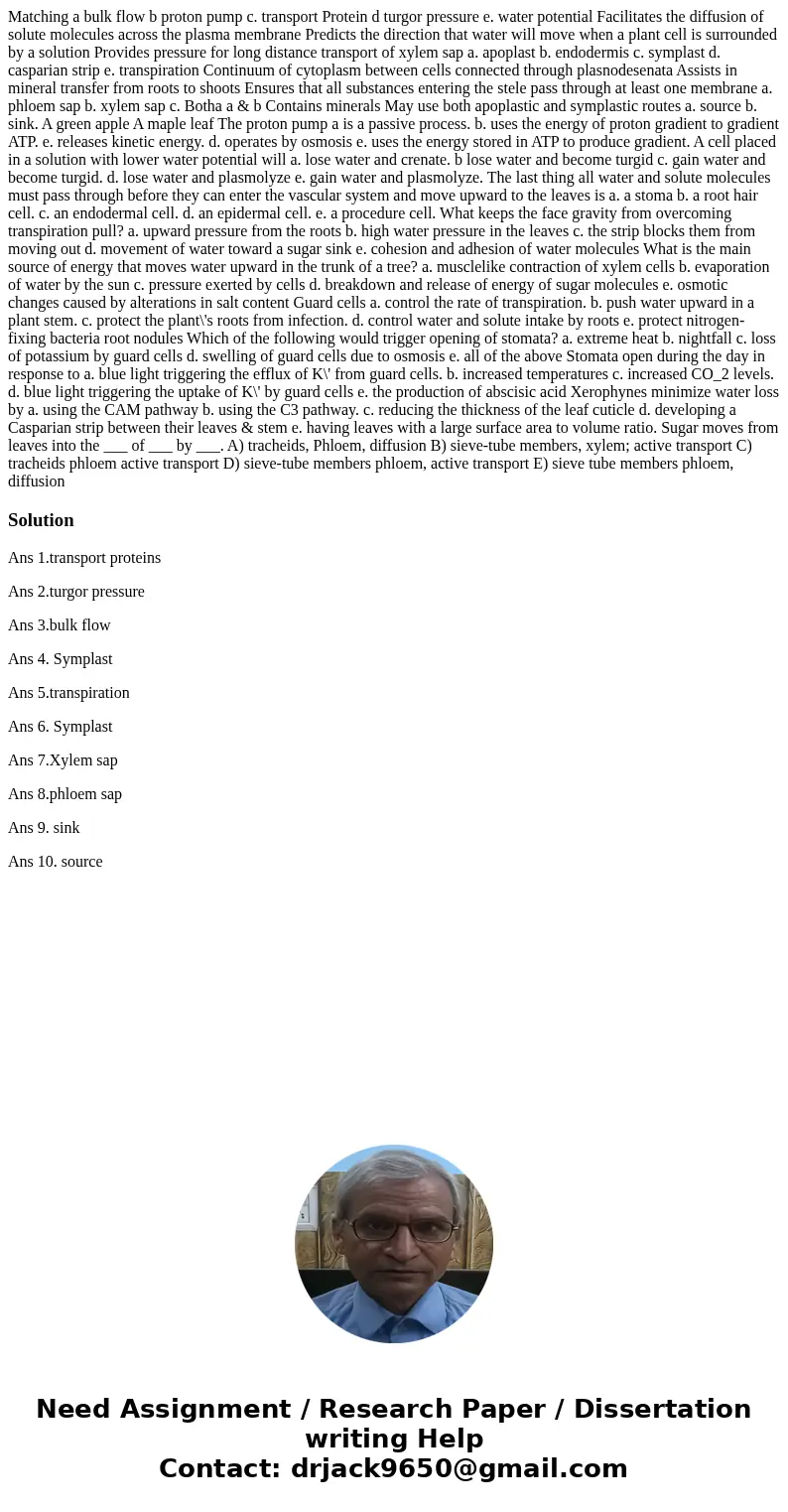 Matching a bulk flow b proton pump c. transport Protein d turgor pressure e. water potential Facilitates the diffusion of solute molecules across the plasma me  Matching a bulk flow b proton pump c. transport Protein d turgor pressure e. water potential Facilitates the diffusion of solute molecules across the plasma me