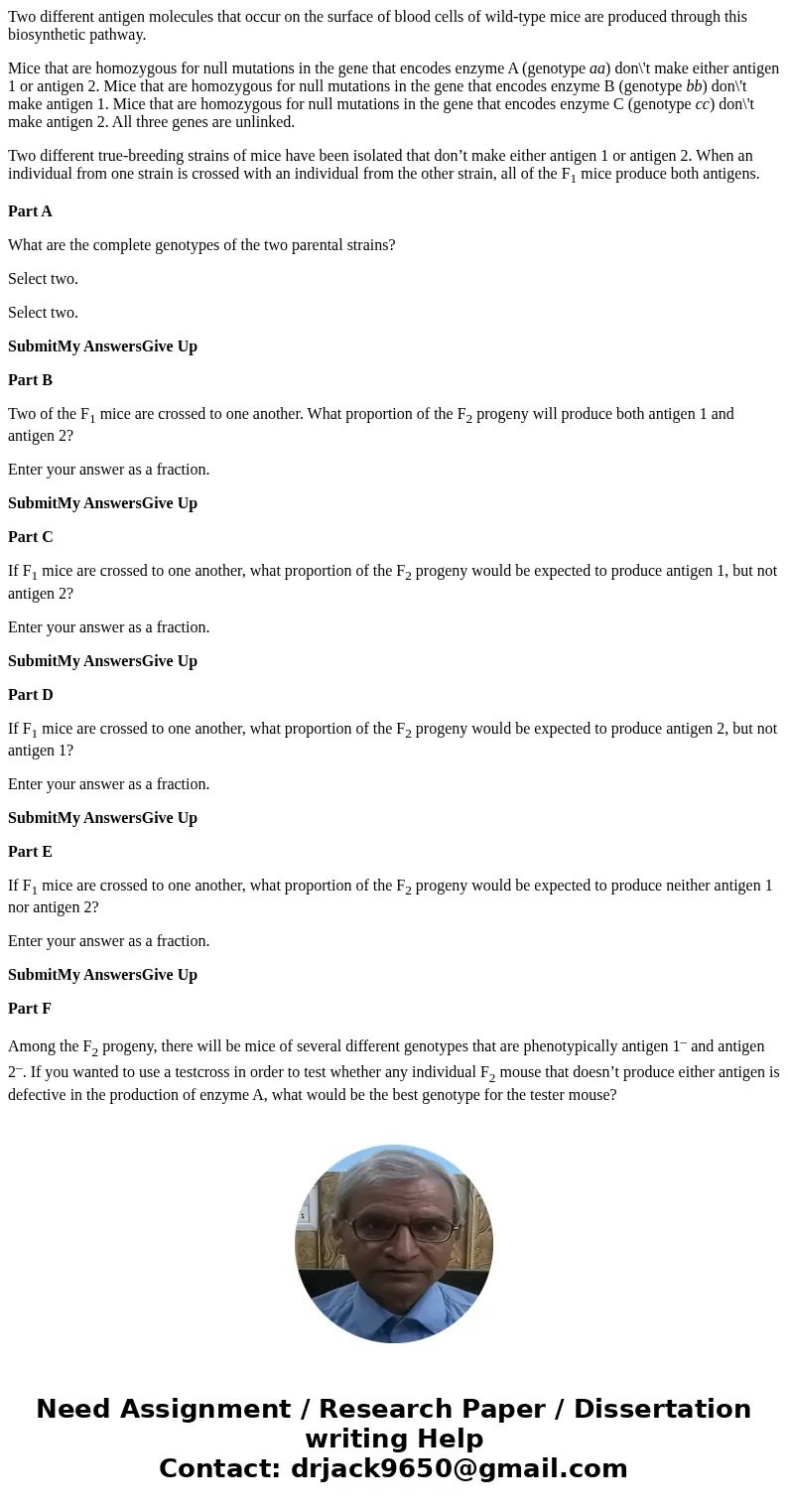 Two different antigen molecules that occur on the surface of blood cells of wild-type mice are produced through this biosynthetic pathway. Mice that are homozyg Two different antigen molecules that occur on the surface of blood cells of wild-type mice are produced through this biosynthetic pathway. Mice that are homozyg