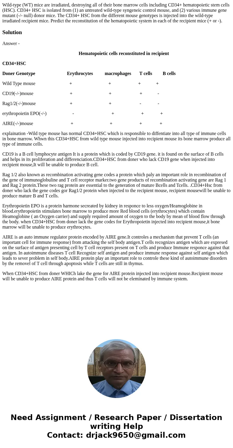 Wild-type (WT) mice are irradiated, destroying all of their bone marrow cells including CD34+ hematopoietic stem cells (HSC). CD34+ HSC is isolated from (1) an  Wild-type (WT) mice are irradiated, destroying all of their bone marrow cells including CD34+ hematopoietic stem cells (HSC). CD34+ HSC is isolated from (1) an