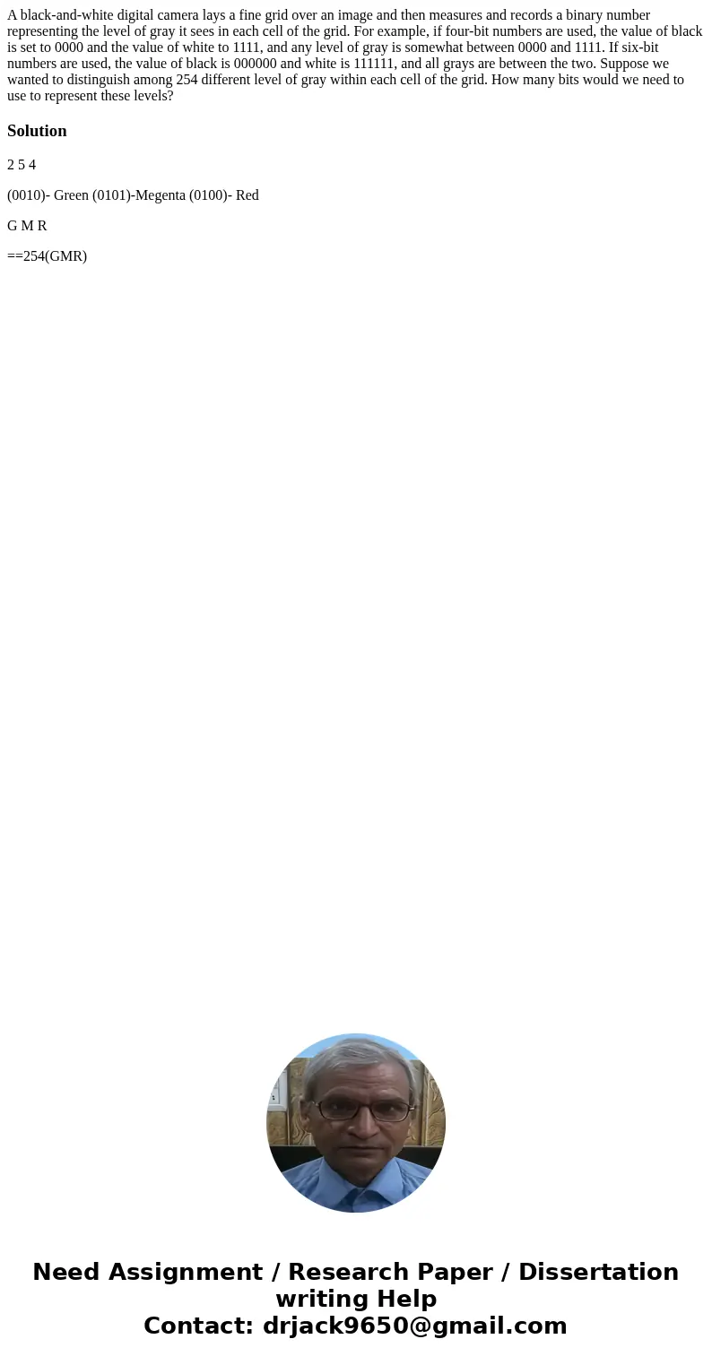 A black-and-white digital camera lays a fine grid over an image and then measures and records a binary number representing the level of gray it sees in each ce  A black-and-white digital camera lays a fine grid over an image and then measures and records a binary number representing the level of gray it sees in each ce