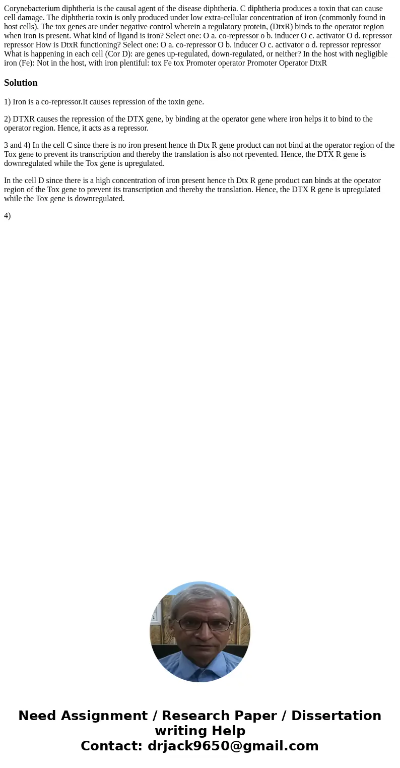 Corynebacterium diphtheria is the causal agent of the disease diphtheria. C diphtheria produces a toxin that can cause cell damage. The diphtheria toxin is onl  Corynebacterium diphtheria is the causal agent of the disease diphtheria. C diphtheria produces a toxin that can cause cell damage. The diphtheria toxin is onl