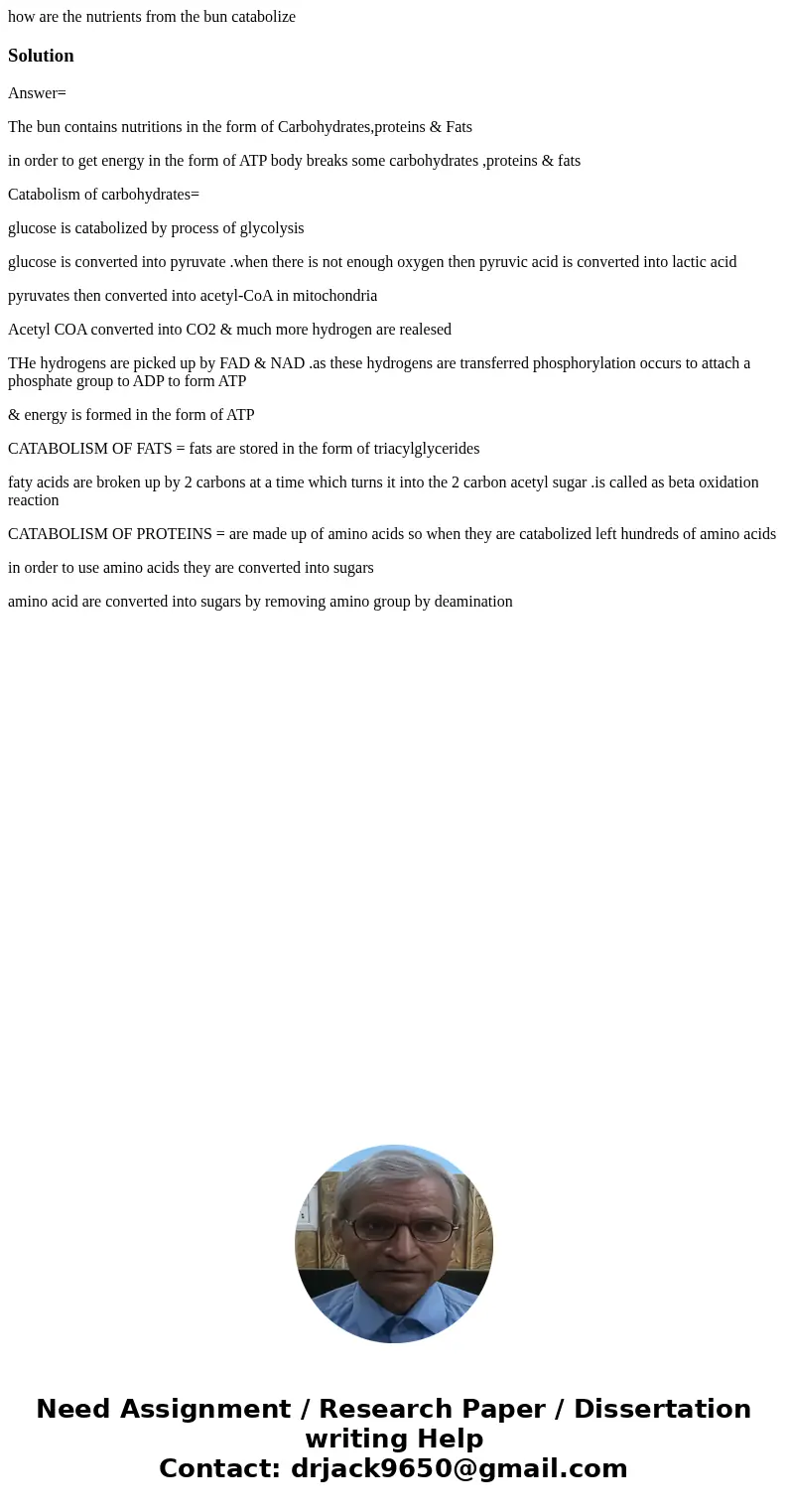 how are the nutrients from the bun catabolizeSolutionAnswer= The bun contains nutritions in the form of Carbohydrates,proteins & Fats in order to get energy how are the nutrients from the bun catabolizeSolutionAnswer= The bun contains nutritions in the form of Carbohydrates,proteins & Fats in order to get energy