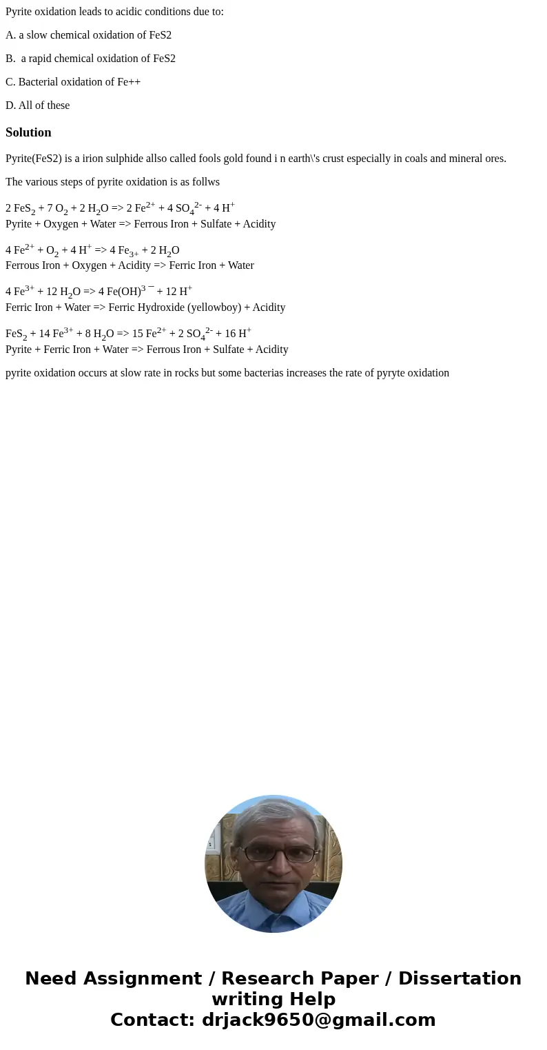 Pyrite oxidation leads to acidic conditions due to: A. a slow chemical oxidation of FeS2 B. a rapid chemical oxidation of FeS2 C. Bacterial oxidation of Fe++ D. Pyrite oxidation leads to acidic conditions due to: A. a slow chemical oxidation of FeS2 B. a rapid chemical oxidation of FeS2 C. Bacterial oxidation of Fe++ D.