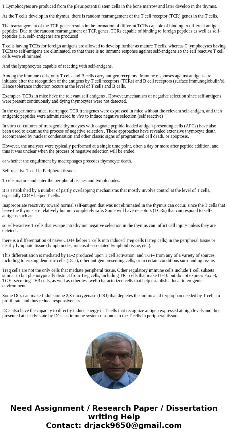 Raise two examples how self-reactive T cells are eliminated during maturation and explain how the immune system responds to the self-reactive T cells in the per Raise two examples how self-reactive T cells are eliminated during maturation and explain how the immune system responds to the self-reactive T cells in the per