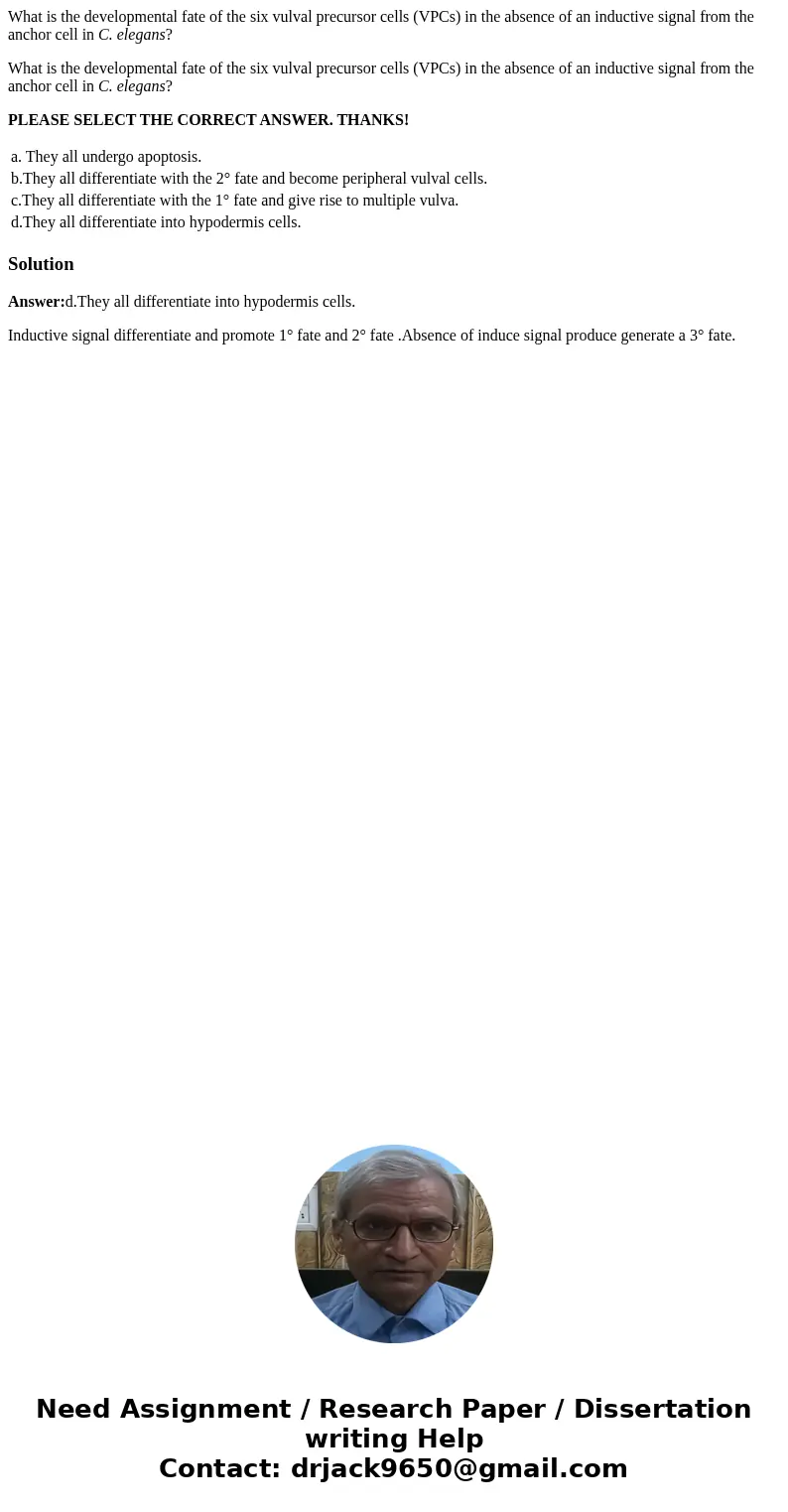 What is the developmental fate of the six vulval precursor cells (VPCs) in the absence of an inductive signal from the anchor cell in C. elegans? What is the de What is the developmental fate of the six vulval precursor cells (VPCs) in the absence of an inductive signal from the anchor cell in C. elegans? What is the de