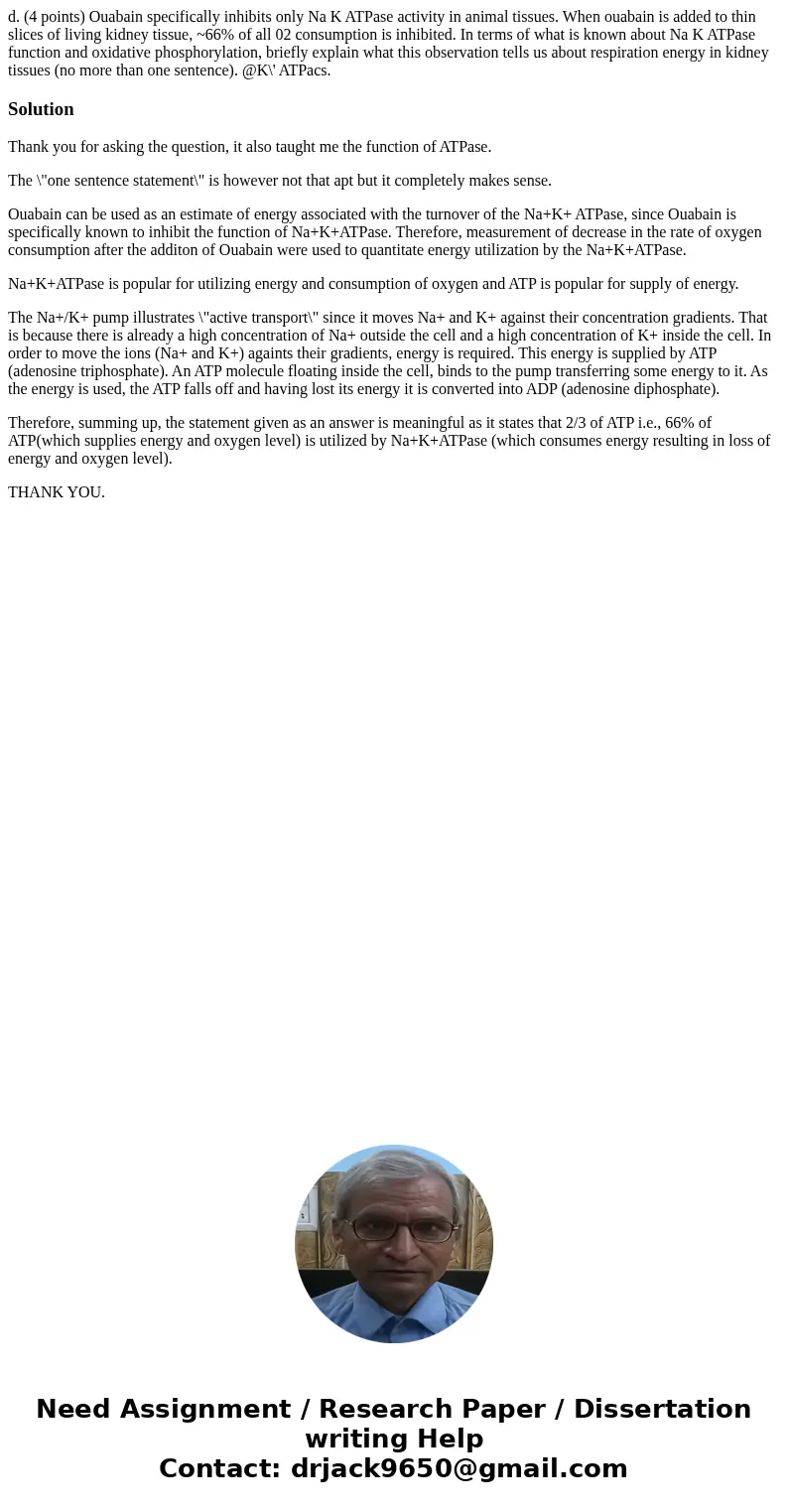 d. (4 points) Ouabain specifically inhibits only Na K ATPase activity in animal tissues. When ouabain is added to thin slices of living kidney tissue, ~66% of   d. (4 points) Ouabain specifically inhibits only Na K ATPase activity in animal tissues. When ouabain is added to thin slices of living kidney tissue, ~66% of