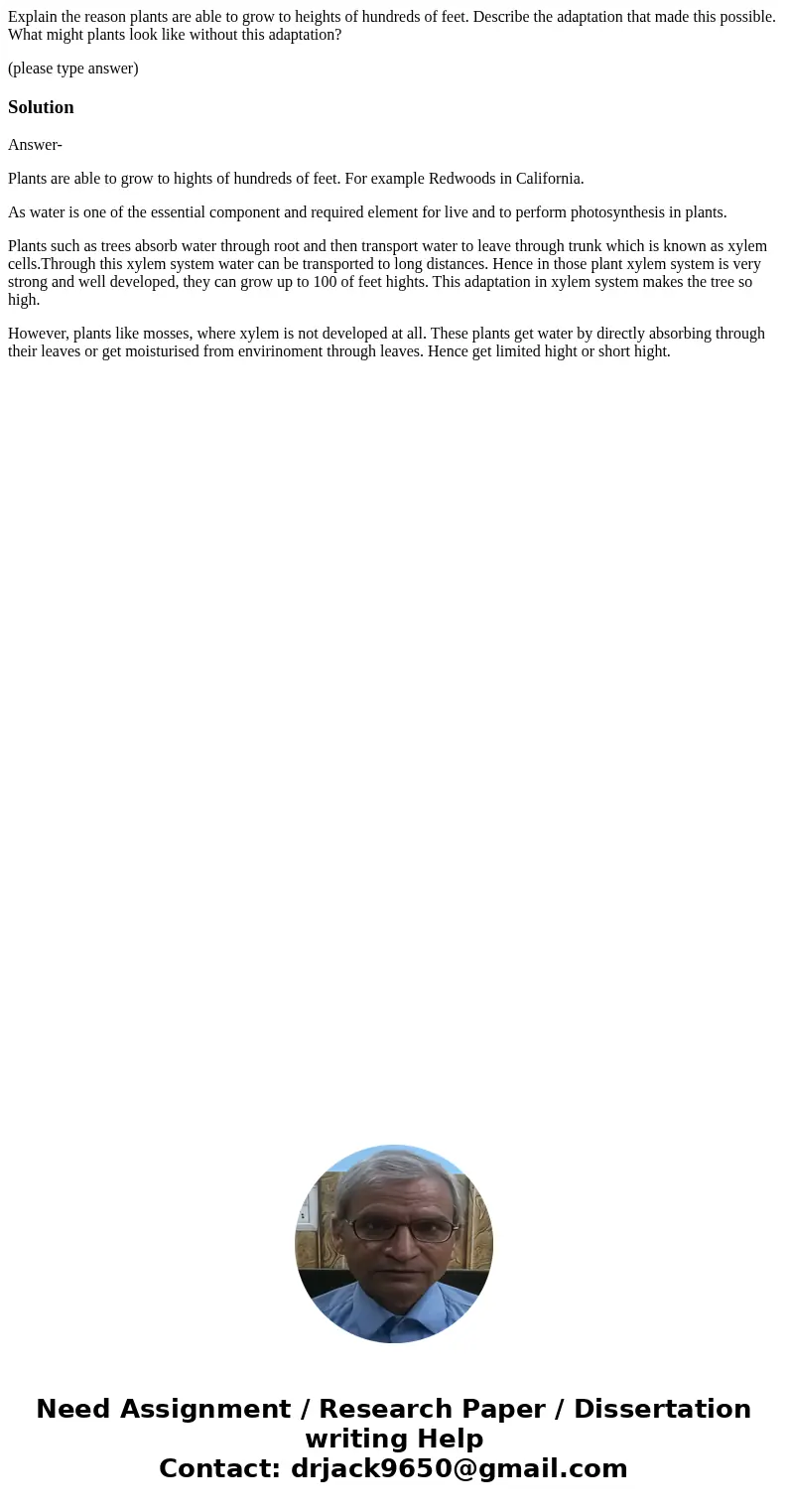 Explain the reason plants are able to grow to heights of hundreds of feet. Describe the adaptation that made this possible. What might plants look like without 