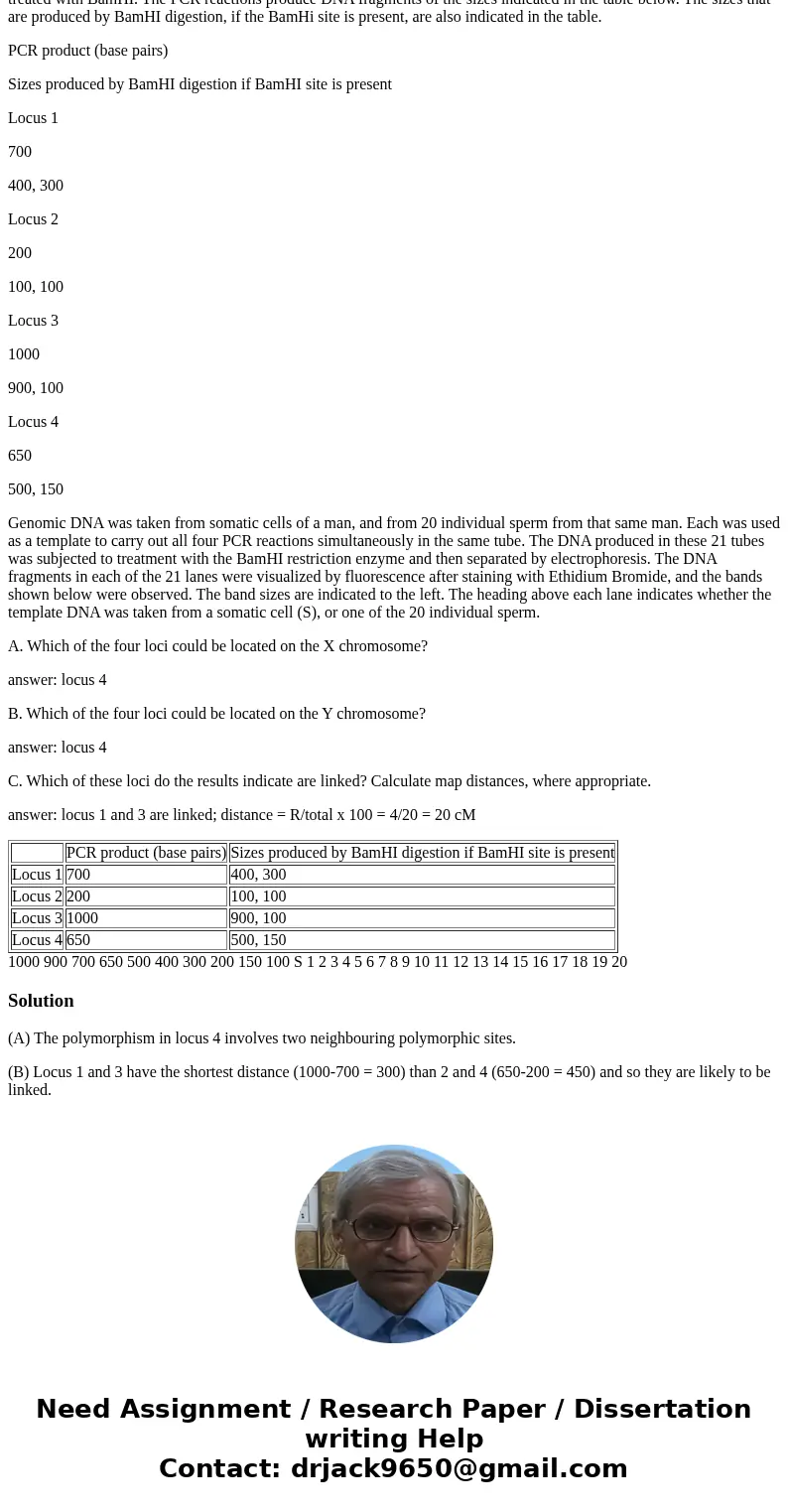 GENETICS QUESTION: Please help me understand the problem. I know the answers, I just don\'t understand WHY those are the answers Four loci in humans are each kn GENETICS QUESTION: Please help me understand the problem. I know the answers, I just don\'t understand WHY those are the answers Four loci in humans are each kn