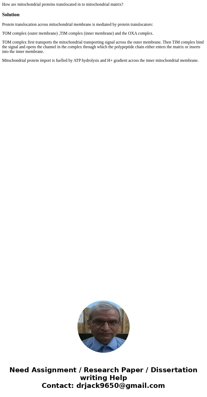 How are mitochondrial proteins translocated in to mitochondrial matrix?SolutionProtein translocation across mitochondrial membrane is mediated by protein transl How are mitochondrial proteins translocated in to mitochondrial matrix?SolutionProtein translocation across mitochondrial membrane is mediated by protein transl
