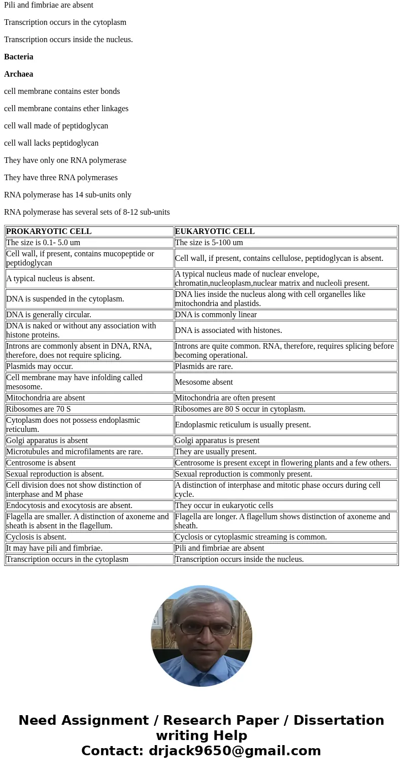 How do prokaryotic cells differ from eukaryotic cells? How do bacteria and archaea differ from each other?SolutionPROKARYOTIC CELL EUKARYOTIC CELL The size is   How do prokaryotic cells differ from eukaryotic cells? How do bacteria and archaea differ from each other?SolutionPROKARYOTIC CELL EUKARYOTIC CELL The size is