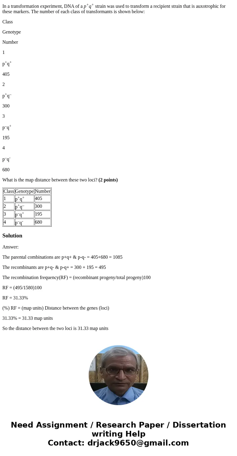 In a transformation experiment, DNA of a p+q+ strain was used to transform a recipient strain that is auxotrophic for these markers. The number of each class of In a transformation experiment, DNA of a p+q+ strain was used to transform a recipient strain that is auxotrophic for these markers. The number of each class of