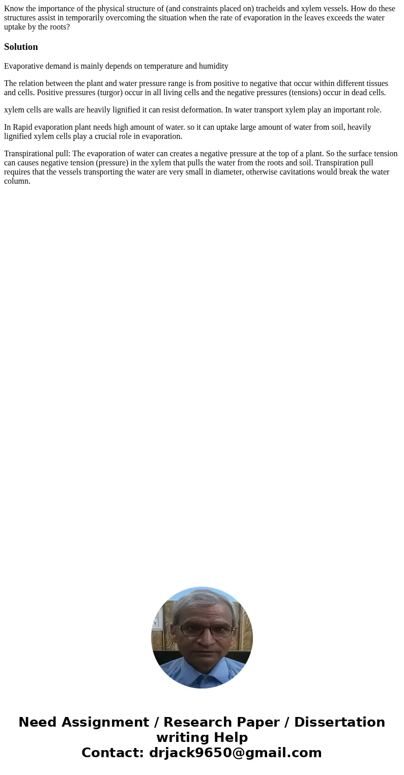 Know the importance of the physical structure of (and constraints placed on) tracheids and xylem vessels. How do these structures assist in temporarily overcomi Know the importance of the physical structure of (and constraints placed on) tracheids and xylem vessels. How do these structures assist in temporarily overcomi