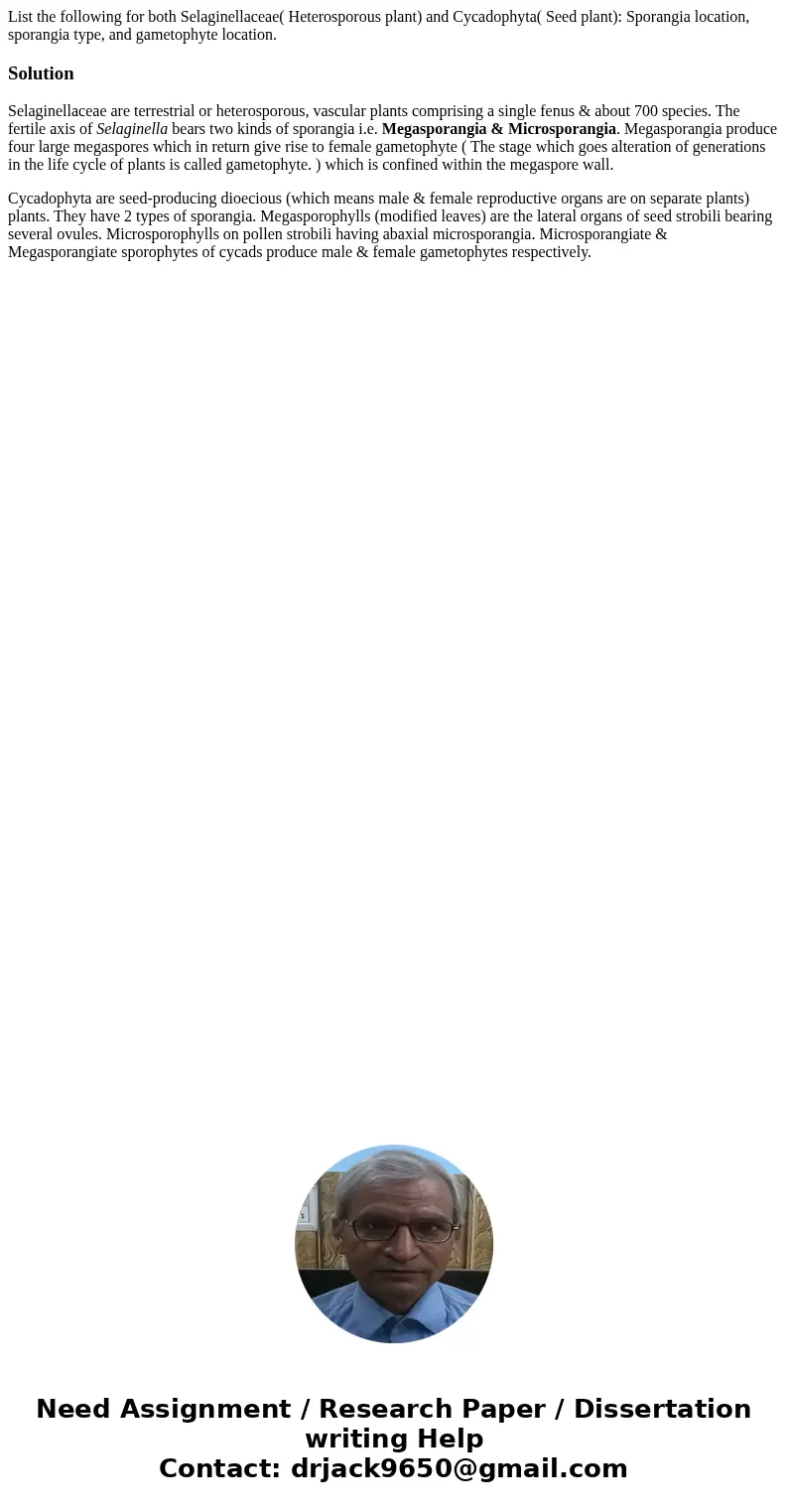 List the following for both Selaginellaceae( Heterosporous plant) and Cycadophyta( Seed plant): Sporangia location, sporangia type, and gametophyte location.Sol List the following for both Selaginellaceae( Heterosporous plant) and Cycadophyta( Seed plant): Sporangia location, sporangia type, and gametophyte location.Sol