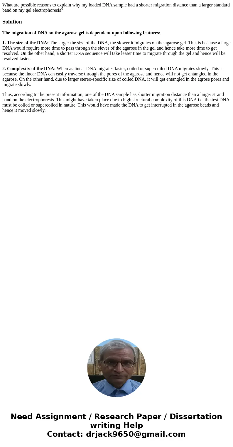 What are possible reasons to explain why my loaded DNA sample had a shorter migration distance than a larger standard band on my gel electrophoresis?SolutionThe What are possible reasons to explain why my loaded DNA sample had a shorter migration distance than a larger standard band on my gel electrophoresis?SolutionThe