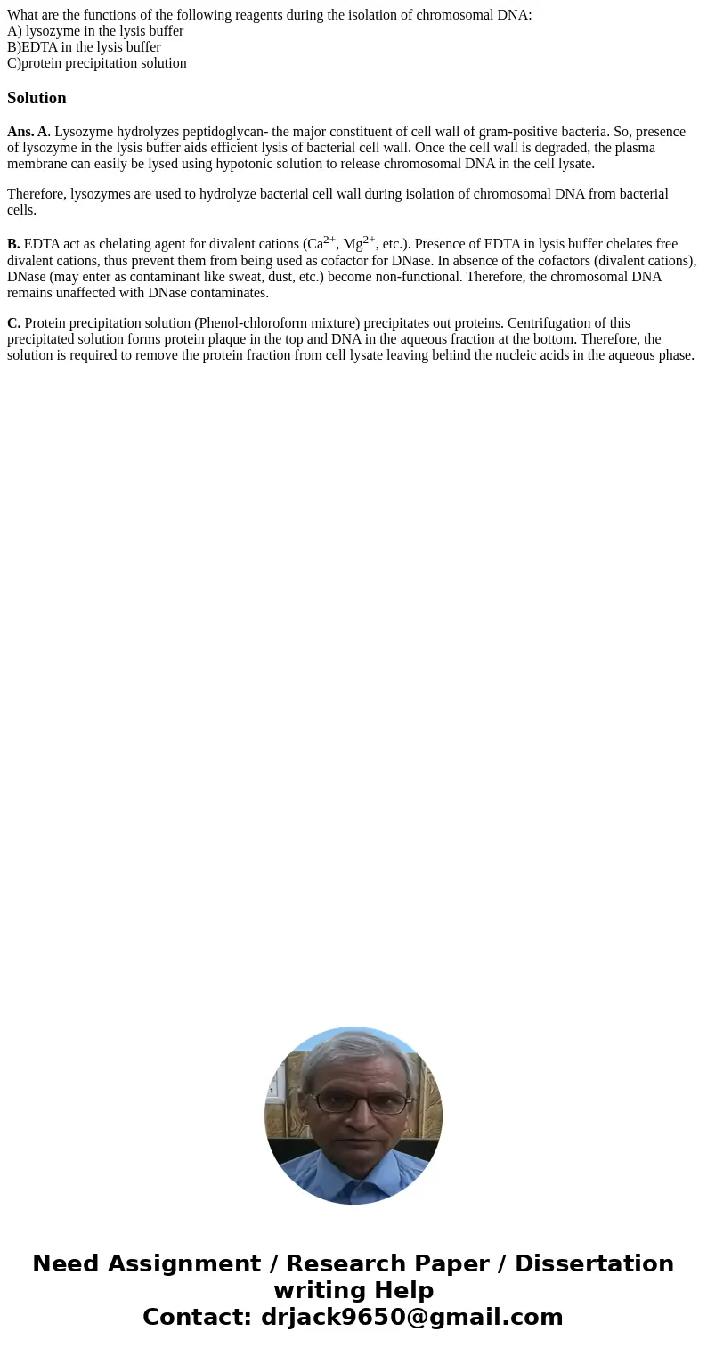 What are the functions of the following reagents during the isolation of chromosomal DNA: A) lysozyme in the lysis buffer B)EDTA in the lysis buffer C)protein p What are the functions of the following reagents during the isolation of chromosomal DNA: A) lysozyme in the lysis buffer B)EDTA in the lysis buffer C)protein p