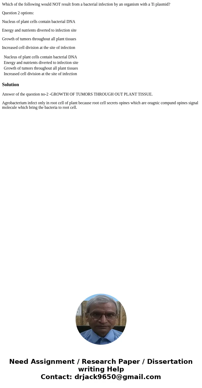 Which of the following would NOT result from a bacterial infection by an organism with a Ti plasmid? Question 2 options: Nucleus of plant cells contain bacteria