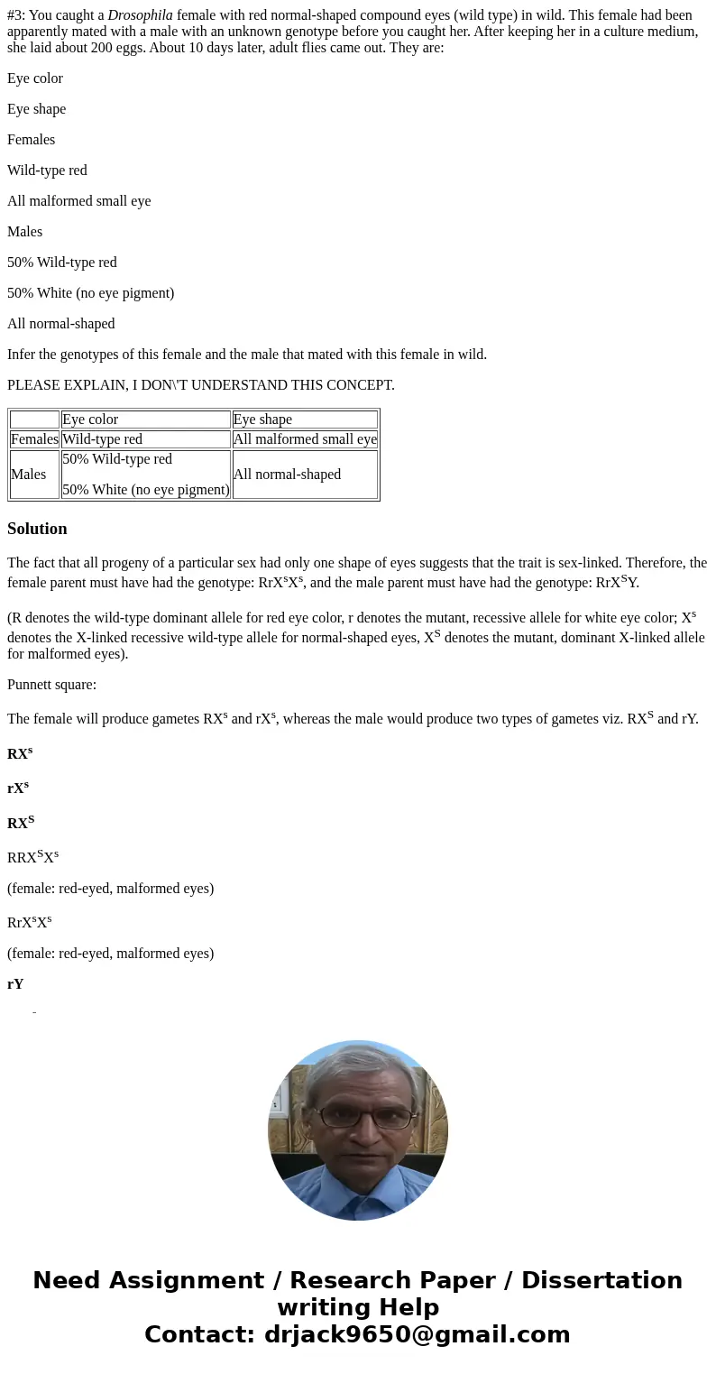 #3: You caught a Drosophila female with red normal-shaped compound eyes (wild type) in wild. This female had been apparently mated with a male with an unknown g