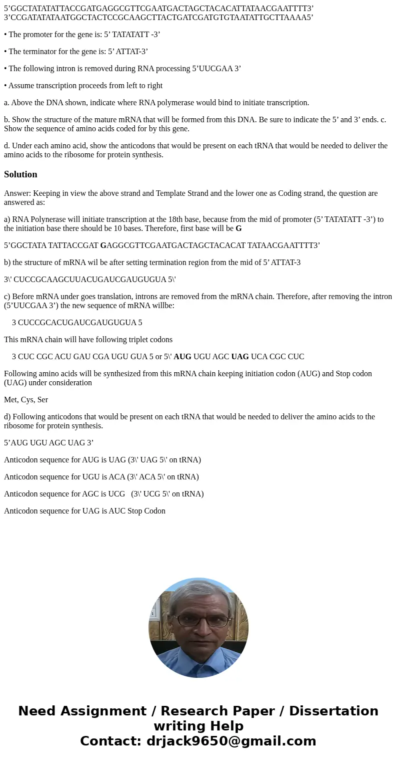 5’GGCTATATATTACCGATGAGGCGTTCGAATGACTAGCTACACATTATAACGAATTTT3’ 3’CCGATATATAATGGCTACTCCGCAAGCTTACTGATCGATGTGTAATATTGCTTAAAA5’ • The promoter for the gene is: 5’ T 5’GGCTATATATTACCGATGAGGCGTTCGAATGACTAGCTACACATTATAACGAATTTT3’ 3’CCGATATATAATGGCTACTCCGCAAGCTTACTGATCGATGTGTAATATTGCTTAAAA5’ • The promoter for the gene is: 5’ T